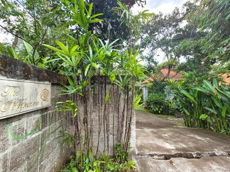 Villa The Sempuana à Denpasar Extérieur photo